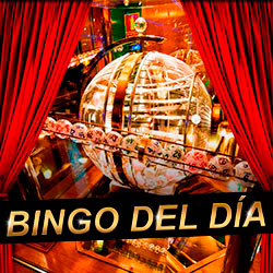 Bingo Del Día