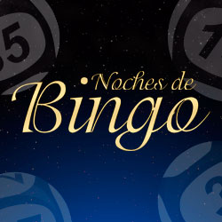 Noches de Bingo